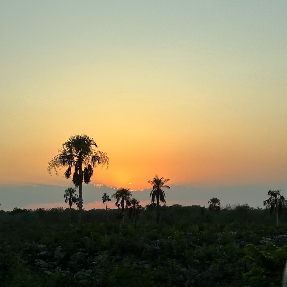 Meet your Posher, Alexander